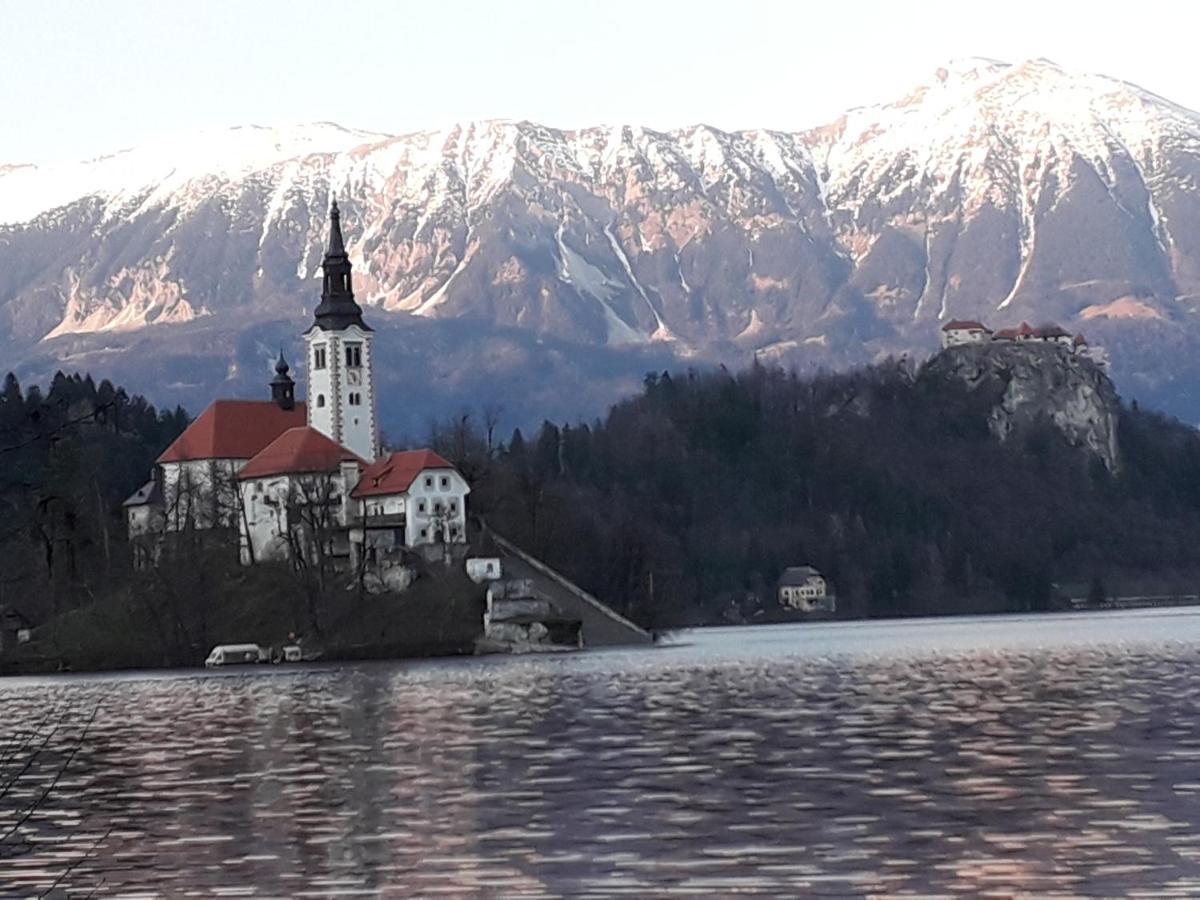 Alp Apartma Radovljica Exteriör bild